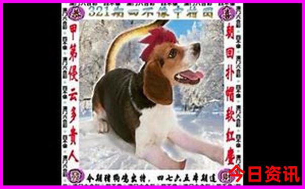 和田旅游景点有哪些